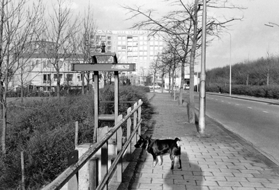 848416 Gezicht op de Tamboersdijk te Utrecht vanaf de brug over de Kromme Rijn; op de achtergrond de Stadionflat ...